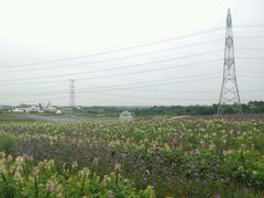android_upload_pic-紫颐香薰山谷景区