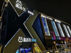 -盒马X会员店(上海森兰商都店)