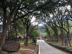 -福清灵石山国家森林公园
