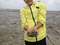-小洋口旅游度假区