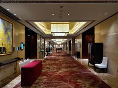 -成都保利公园皇冠假日酒店(熊猫基地店)