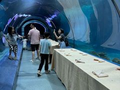 -福州罗源湾海洋世界旅游区