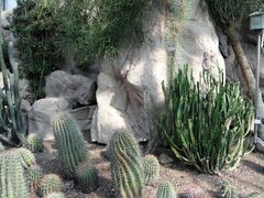 -北京植物园-展览温室
