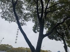 -玉山公园