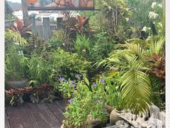 -自然餐厅(Phuket)