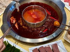 -田鸭肠·非遗火锅(彭州店)