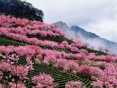 -灵光寺