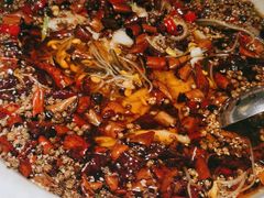 -一品红川菜(皇岗店)