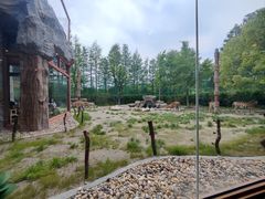 -上海野生动物园