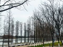-艾溪湖湿地公园