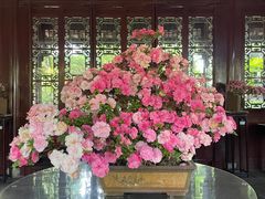 -上海醉白池公园