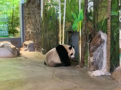 -海南热带野生动植物园