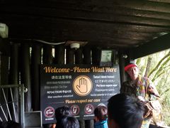 -怀托摩萤火虫洞