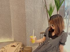 -代数学家algebraist(苏州中心店)