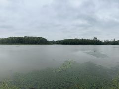 -昆山城市生态森林公园