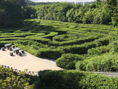 -大屏嶂森林公园
