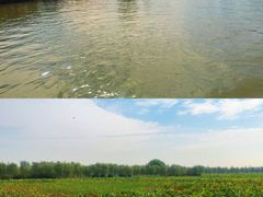 -泗洪洪泽湖湿地景区