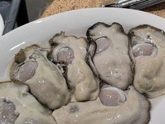-濠轩阁特色生蚝火锅总店