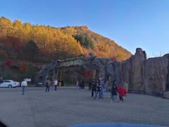 -龙道沟景区