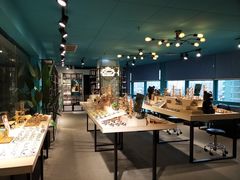 -Trend1881视光·蔡司视觉(领展广场店)