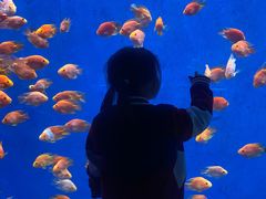 -南京金牛湖风景区