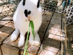 -草根堂农场