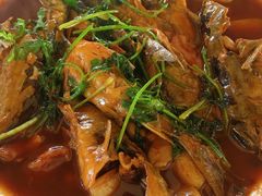 红烧昂刺鱼-杨辉饭店