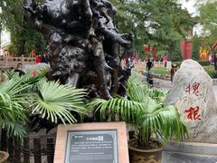 -大槐树寻根祭祖园