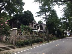 -龙井村