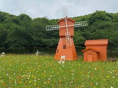 -苏州上方山国家森林公园