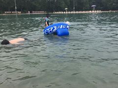 -柳浪游泳场