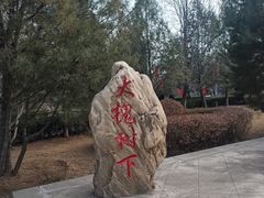 -大槐树寻根祭祖园