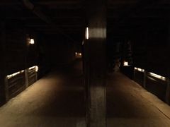 -疏芬山金矿