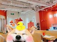 -刘香香·川香红锅美蛙(福田店)