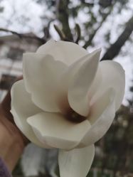 点击看大图 -莲生母婴月子中心(清水河公园店)
