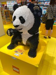 -kidsland(上海环球港店)