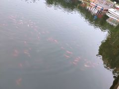 -西安汉城湖景区