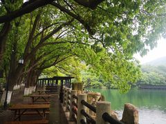-白马涧龙池景区