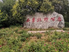 -西青郊野公园