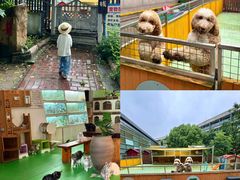 -上海佘山世茂艾美酒店