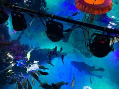 -沈阳海洋探索中心