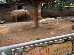 -昆明动物园