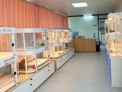 -翊宠yipet猫狗购宠庄园犬舍•猫舍