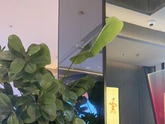 -辛香汇·现炒川菜(城北万象城店)