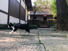 -法云安缦酒店