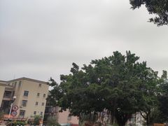 -伦教678文化街