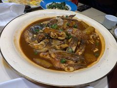 -张鸟园农家乐(张鸟园店)