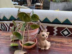-北马山庄植趣咖啡