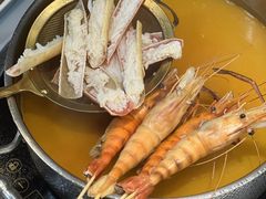 -喜聚薈·花膠雞海鮮火鍋(越秀店)