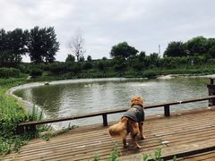 -太阳岛度假酒店